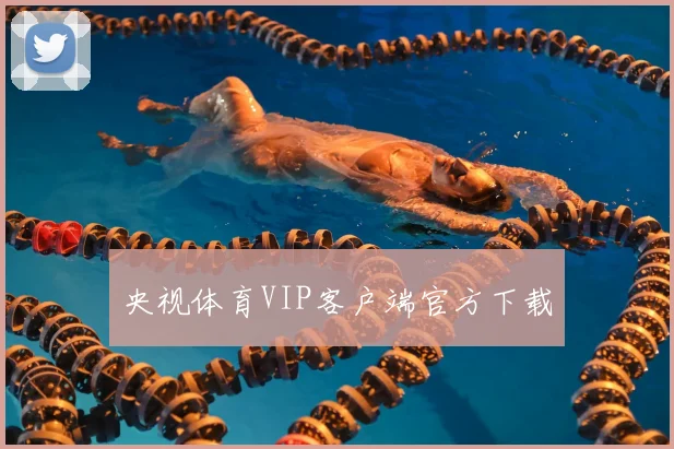 央视体育VIP客户端官方下载