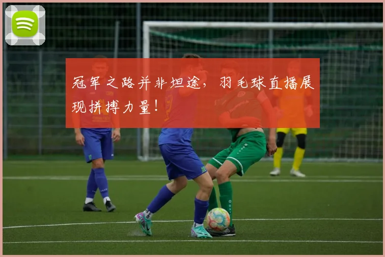 冠军之路并非坦途，羽毛球直播展现拼搏力量！