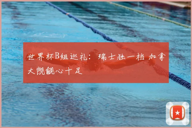 世界杯B组巡礼：瑞士独一档 加拿大觊觎心十足