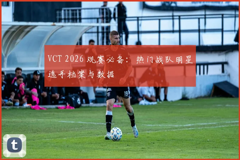 VCT 2026 观赛必备：热门战队明星选手档案与数据