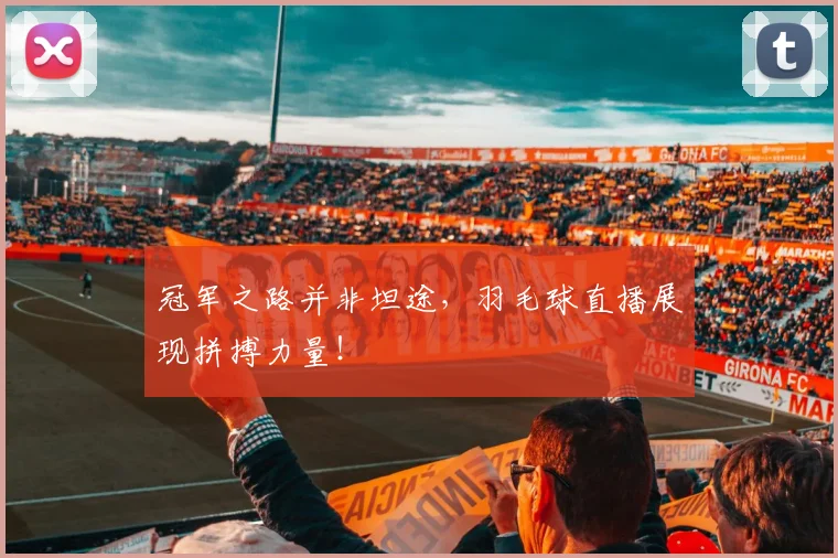 冠军之路并非坦途，羽毛球直播展现拼搏力量！